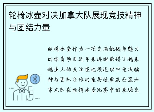 轮椅冰壶对决加拿大队展现竞技精神与团结力量