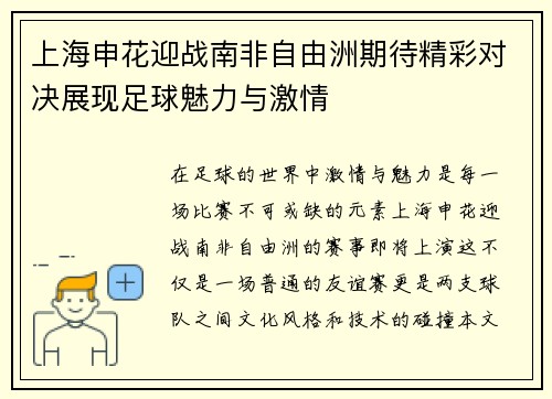 上海申花迎战南非自由洲期待精彩对决展现足球魅力与激情