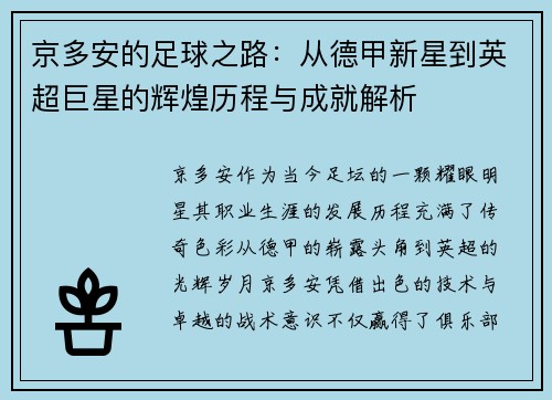 京多安的足球之路：从德甲新星到英超巨星的辉煌历程与成就解析